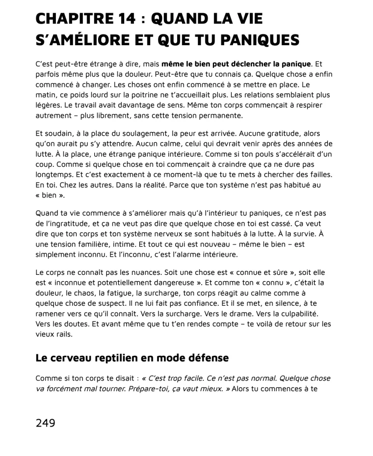 Lâche prise sur ce qui te détruit — Chapitre 14 : quand la vie s'améliore et que tu paniques — page 249