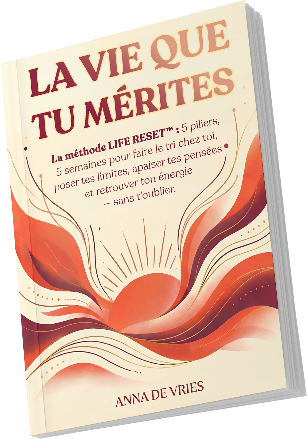 Couverture de La vie que tu mérites